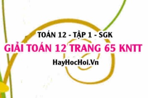 Giải Toán 12 trang 65 tập 1 Kết nối tri thức